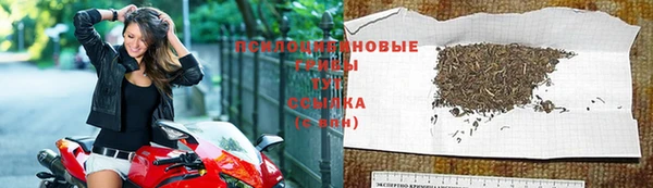 дмт Алексин