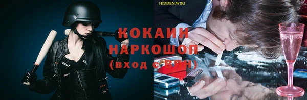 дмт Алексин