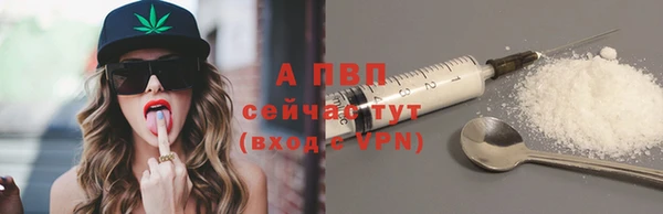 прущие грибы Сатка