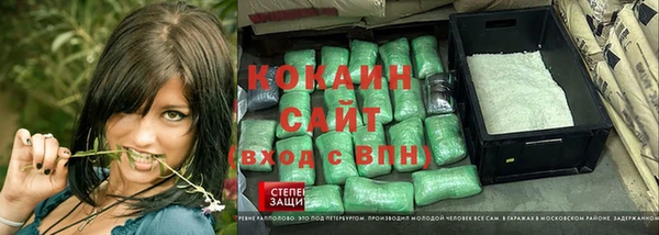 дмт Алексин