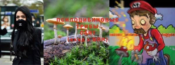 гидропоника Алзамай