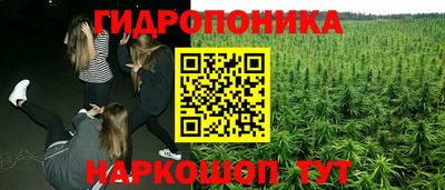 прущий лед Вышний Волочёк