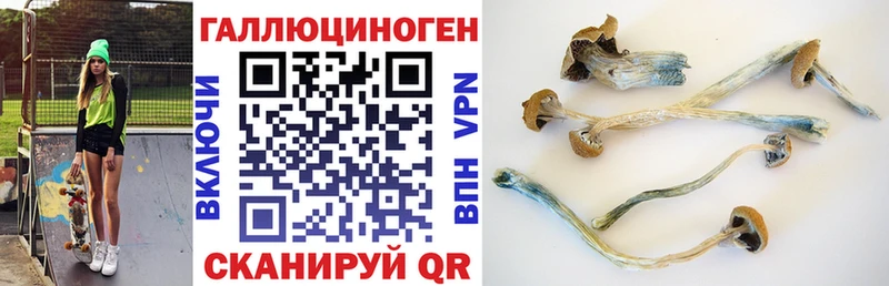 наркота  Саянск  Псилоцибиновые грибы мухоморы 
